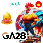 vf88 Sét Zeus Điện tử